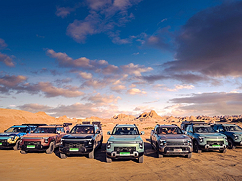 YGgծa(chn)Z9ӲLyƤrֵĽKOԇ