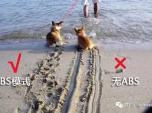 ĆABS׌붮