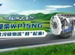 HWP15NG׌r