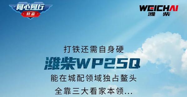 IHWP25Q߳I