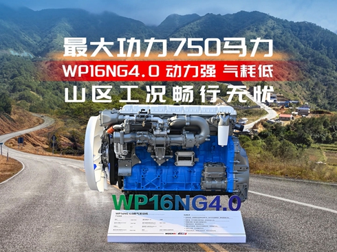 ҕlWP16NG4.0 (qing) ĵ ɽ^(q)rПon