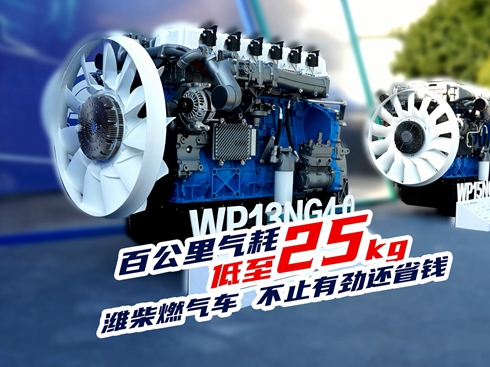 ҕlٹĵ25kg Hȼ?x)?ch) ֹЄ߀ʡX(qin)